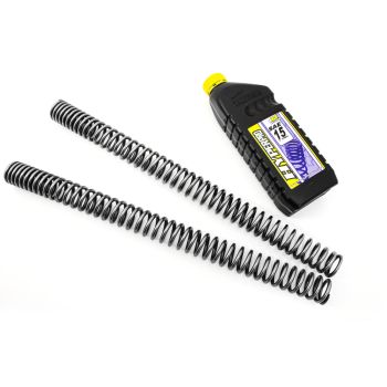 FORK SPRINGS BMW F 850 GS 18-2