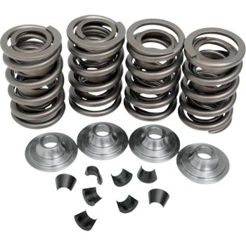 VALVE SPRINGS 66-84 BT