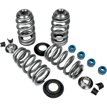 VALVE SPRINGS BHIVE 85-04