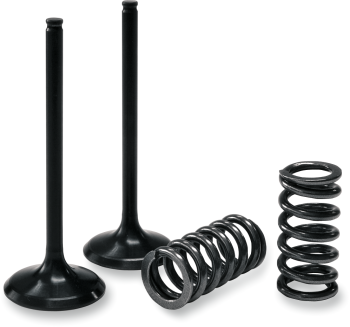 VALVE IN/SPRING KIT LT-R450
