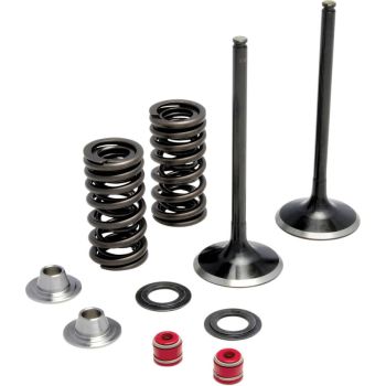 VALVE KIT IN MSE KX250F