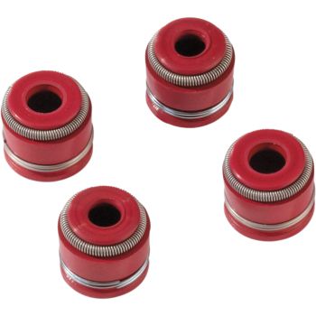 VALVE SEAL KIT LTR450
