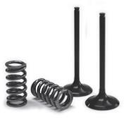 INTAKE VALVE/SPRING KIT