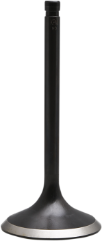 VALVE INTAKE2.020 EVO/TC