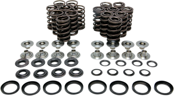 VALVE SPRING KIT YZFR1