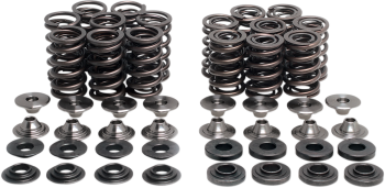 VALVE SPRING KIT ZX10R