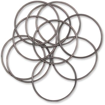 ORING INSPECTION CVR 10PK