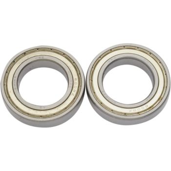 BEARING F/DS360191