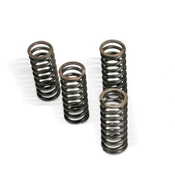 CLUTCH SPRING SET SUZ