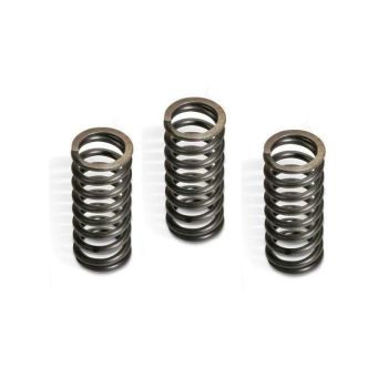 CLUTCH SPRING KIT DUCATI