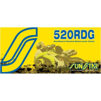 CHAIN SS520RDG 100R