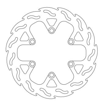 BRAKE DISC FLAME REAR