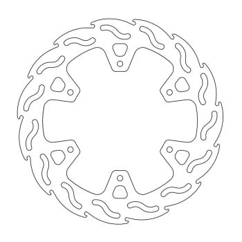BRAKE DISC FLAME REAR
