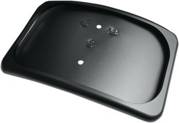 MOUNT 3HOLE LIC PLT FB