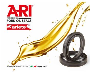 ARI Oil seal, 35 x 48 x 8/9,5