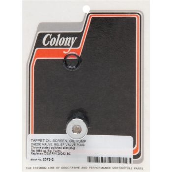 PLUG OIL PUMP 81-99 BT