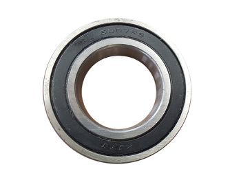 BEARING 6007Z