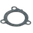 Winderosa Exhaust gasket