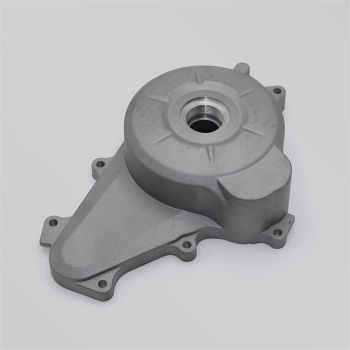 CARTER D'ALLUMAGE RXF MINI