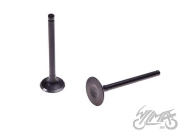 Klapid (sisselaske ja väljalaske) 70CC 47mm - 1P47FMD