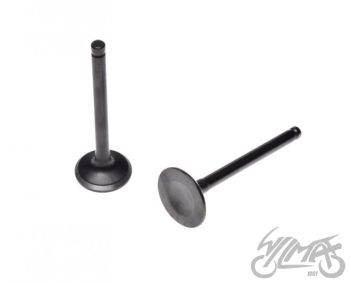 Klappide komplekt (sisselaske ja väljalaske)