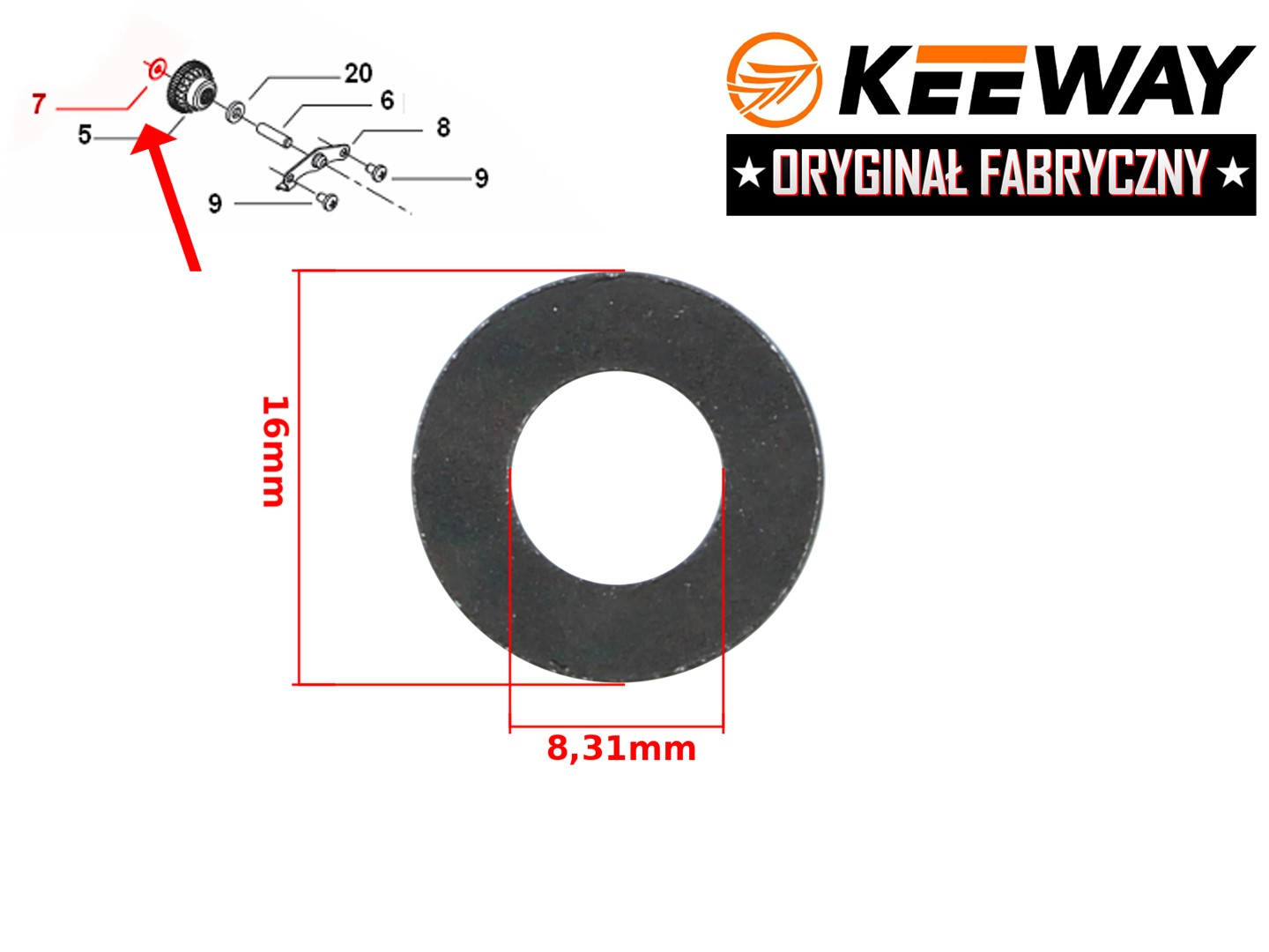 main product photo