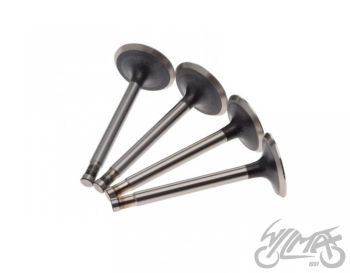 Klappide komplekt (sisse+välja) DNIEPR