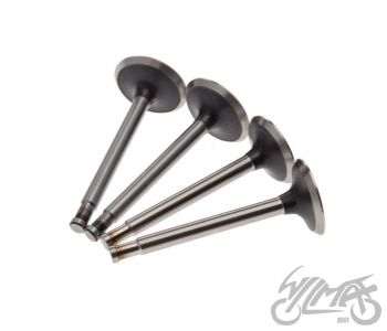 Klappide komplekt (sisse+välja) URAL