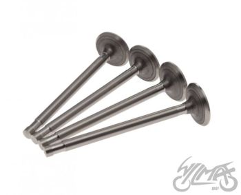 Klappide komplekt (sisse+välja) K-750 9,15 MM