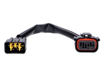 CDI ignition unit Top Performances digital 2nd generation for Minarelli AM6 Moric Euro2, Euro3