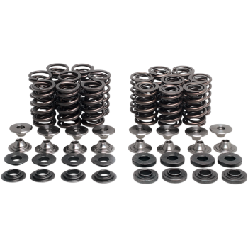 VALVE SPRING KIT ZX10R