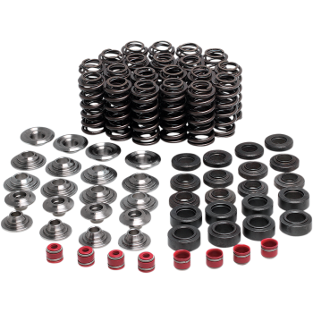 VALVE SPRING KIT YZFR1