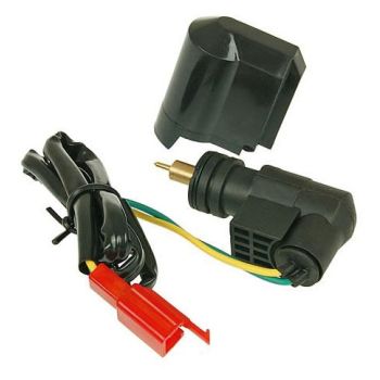 Naraku Electric choke, Dellorto