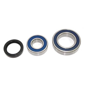 Sno-X Chain case bearing kit Ski-Doo