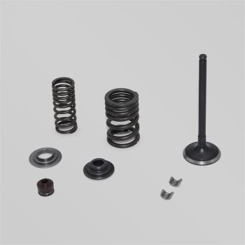 Sisselaskeklapid 190cc Zongshen