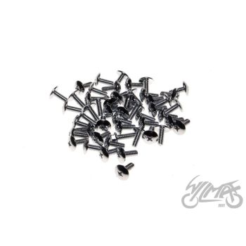 Polt M6x16, Scooter assebml. (50tk pakis), Philips