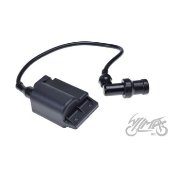 CDI (kommutaator) / süütepool, piirajavaba - Piaggio ZIP4