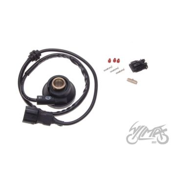 Spidomeetri tigu VIVACITY DIGITAL