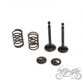 Klapi vedrud võrri mootorile 4T