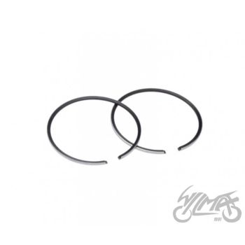 Kolvirõngaste komplekt 60 cc 2T QUANTUM (2tk)