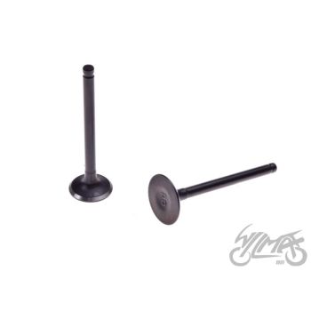 Klapid (sisselaske ja väljalaske) 70CC 47mm - 1P47FMD