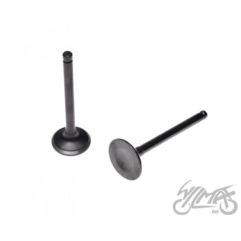 Klappide komplekt (sisselaske ja väljalaske)