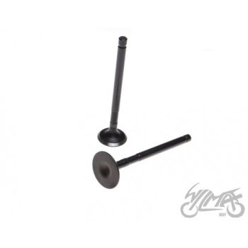 Klappide komplekt (sisselaske ja väljalaske) 250 CCM 2 kolbi JIALING 4T