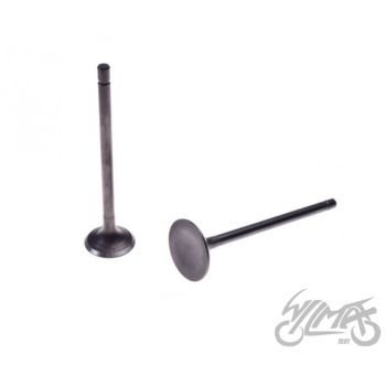 Klappide komplekt (sisselaske ja väljalaske) 125 CCM LONCIN 4T