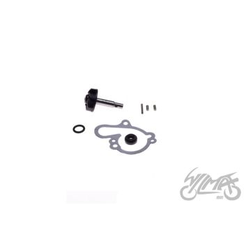 Veepump MINARELLI BETA AM6 AM6EUI AM345