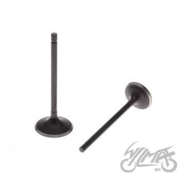 Klappide komplekt (sisselaske ja väljalaske) ATV Bashan 250