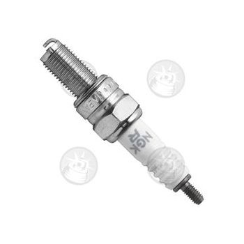 Süüteküünal NGK CR10E