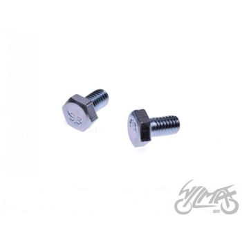 Nukkvõlli hammasratta poldid 2tk - 156FMI mootorile