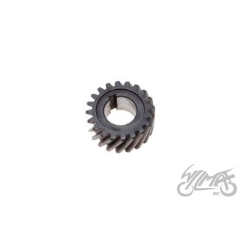 Käigukasti veo hammasratas - Minarelli AM6