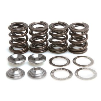 SPRING KIT TRX250X/300EX